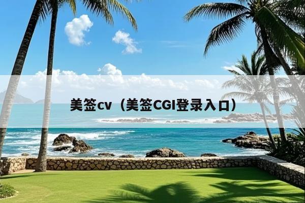 美签cv(美签CGI登录入口)