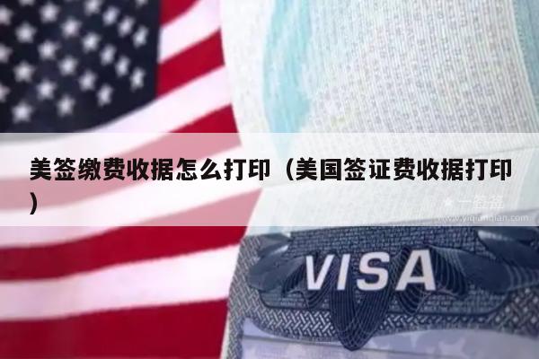 美签缴费收据怎么打印(美国签证费收据打印)