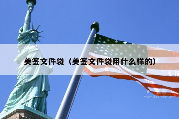 美签文件袋(美签文件袋用什么样的)