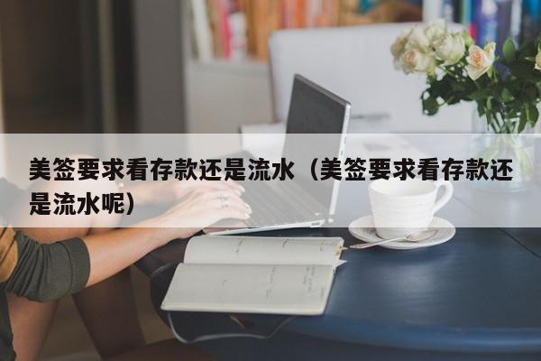 美签要求看存款还是流水(美签要求看存款还是流水呢)