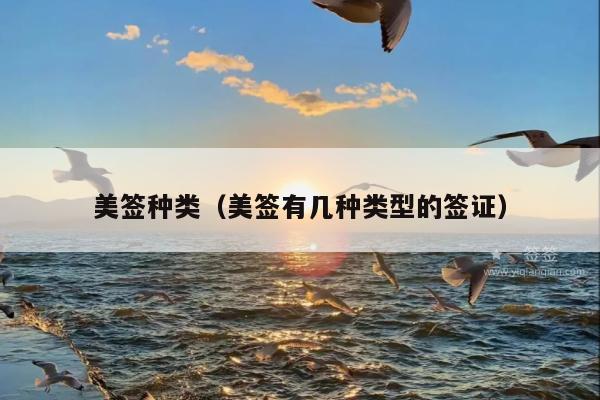 美签种类(美签有几种类型的签证)
