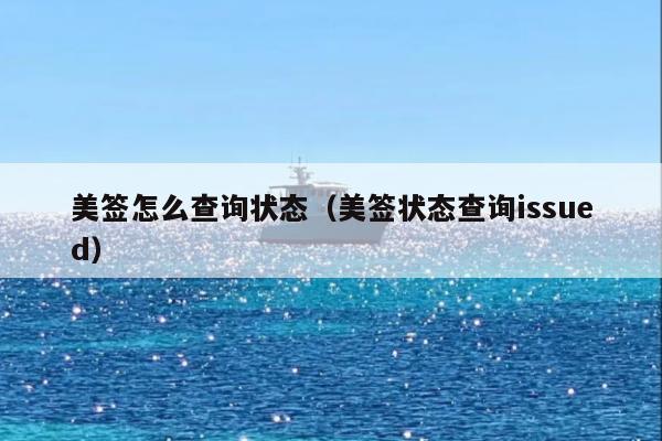 美签怎么查询状态(美签状态查询issued)