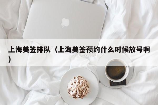 上海美签排队(上海美签预约什么时候放号啊)