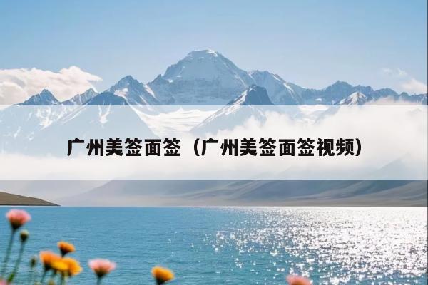 广州美签面签(广州美签面签视频)