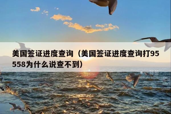 美国签证进度查询(美国签证进度查询打95558为什么说查不到)