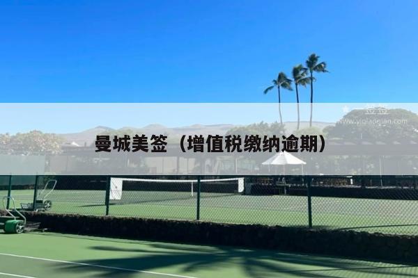 曼城美签(增值税缴纳逾期)
